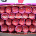 /msite/products/detail/productid/54855539/id/542998.html